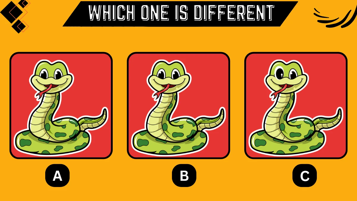 Observation Brain Challenge: Only the True Detectives Can Spot the Different Snake in 10 Secs
