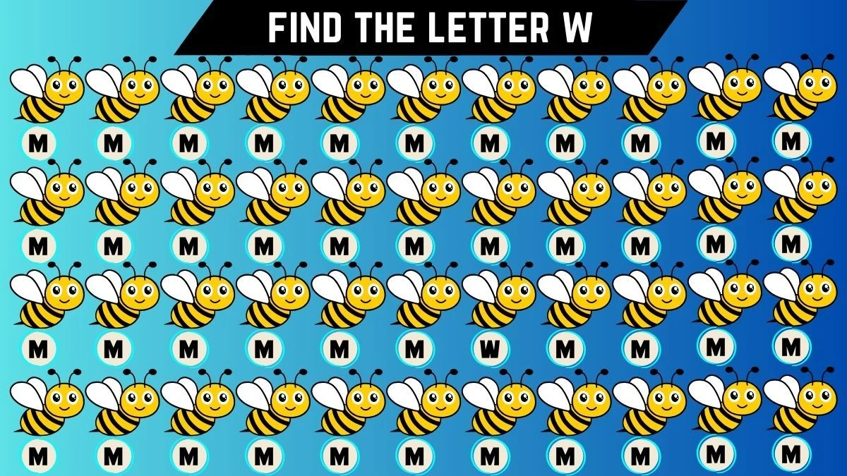 Observation Brain Test: Only Geniuses Can Spot the Letter W among M in 9 Secs
