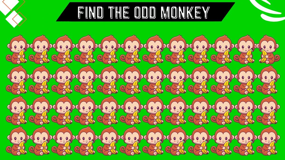 Observation Find it Out: Only Sharpest Eye People Can Spot the Odd Monkey in this Image in 5 Secs
