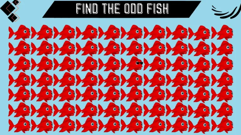 Observation Skills Test: Only people with extraordinary vision can spot the odd fish in 8 secs
