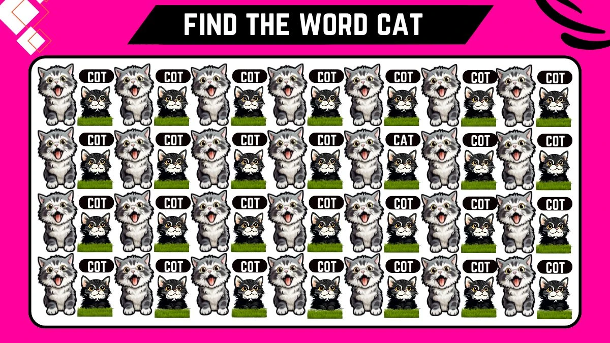Observation Visual Test: Only 2 out of 10 people can spot the Word Cat among Cot in 6 Secs