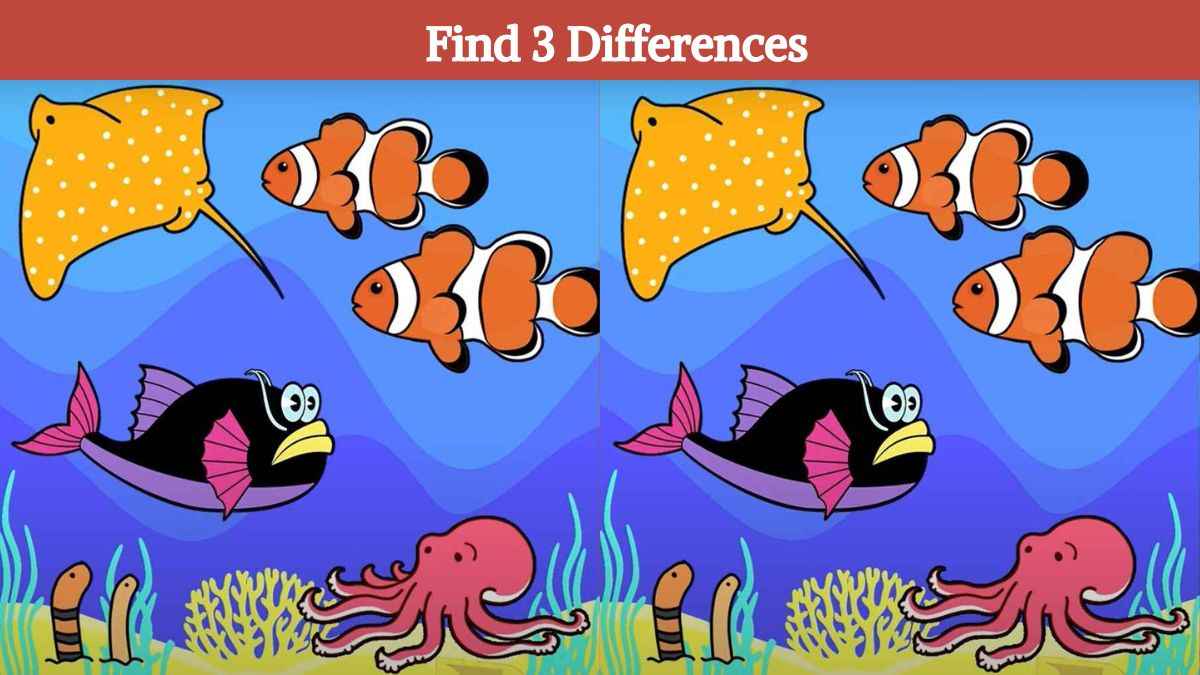 Only 7% of people with sharp eyes can find 3 differences between the sea creature pictures in 11 seconds!