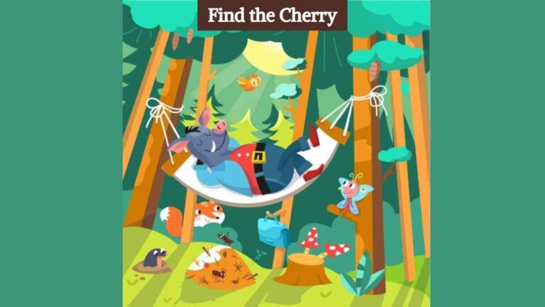 Only the sharpest pair of eyes can spot the cherry in the forest in 6 seconds!