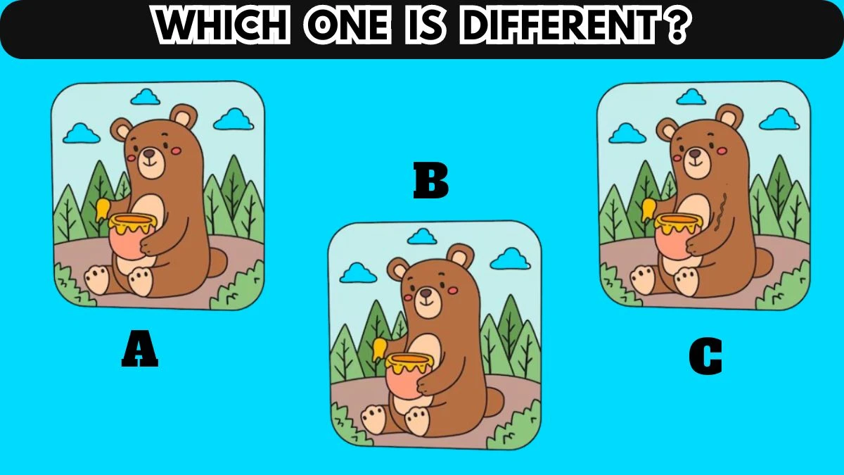 Optical Illusion: Among the 3 Images Which one is different?