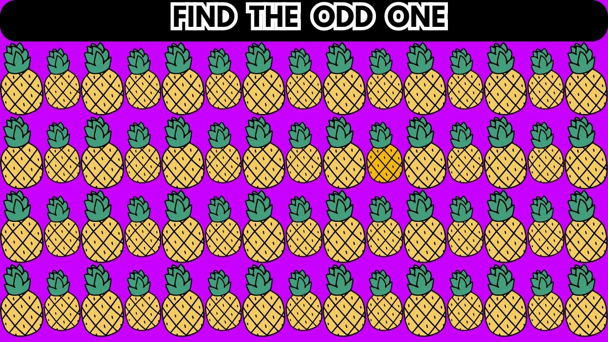 Optical Illusion Brain Challenge: If You Have Sharp Eyes Find the Odd One in 12 Seconds