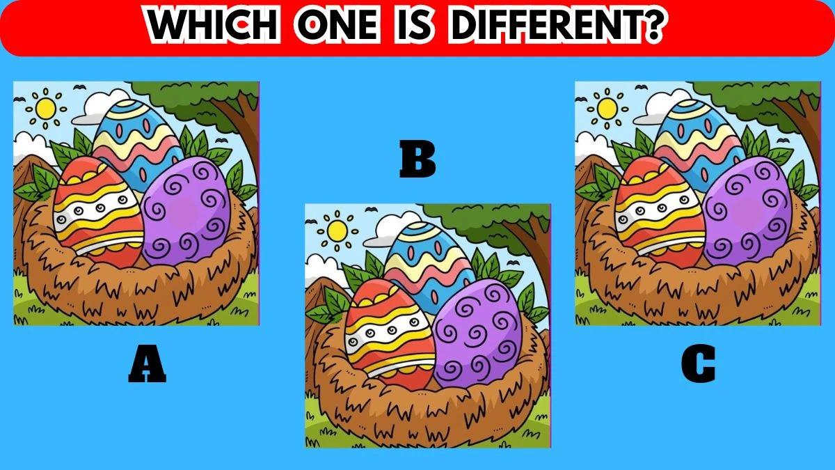 Optical Illusion Brain Challenge: Only the Smartest People Can Spot the Different One in 8 Secs