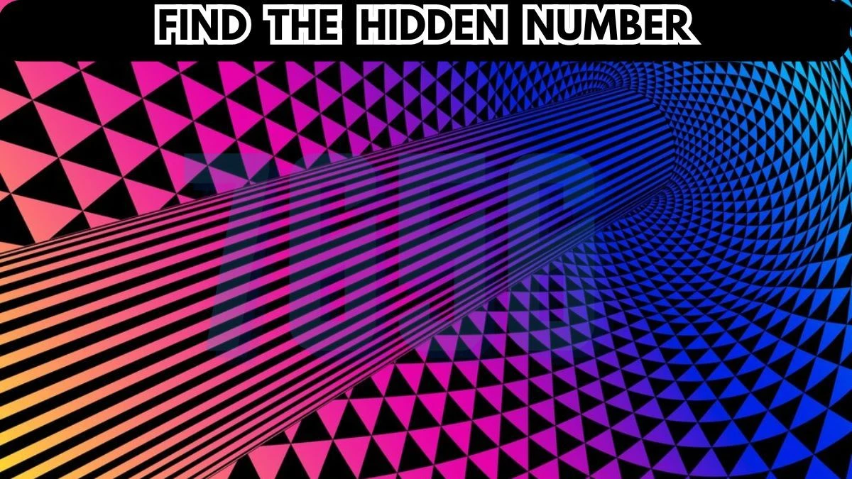 Optical Illusion Challenge: Can you spot the hidden Number in 10 seconds?