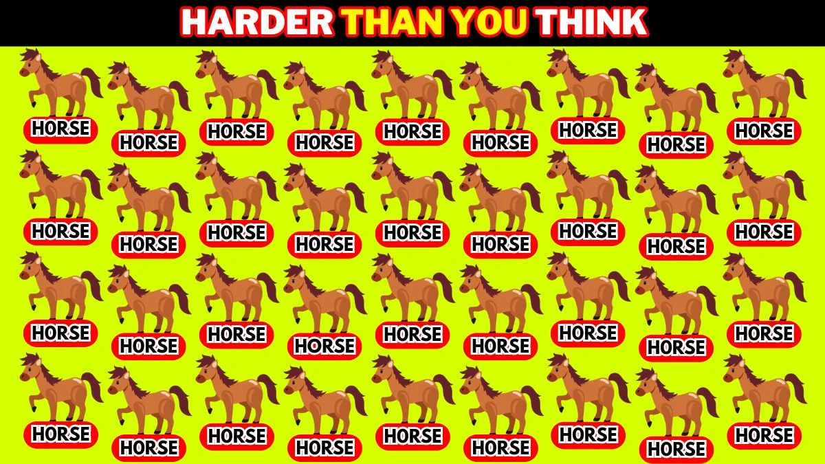 Optical Illusion Challenge: Only highly intelligent people can spot the Word Horse in 7 Secs