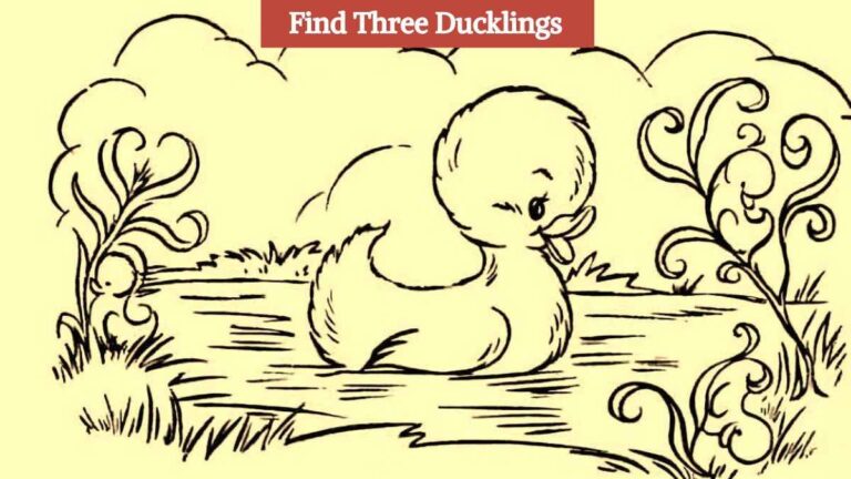 Optical Illusion IQ Challenge: Only 1% with high IQ can find three ducklings in the picture in 7 seconds!