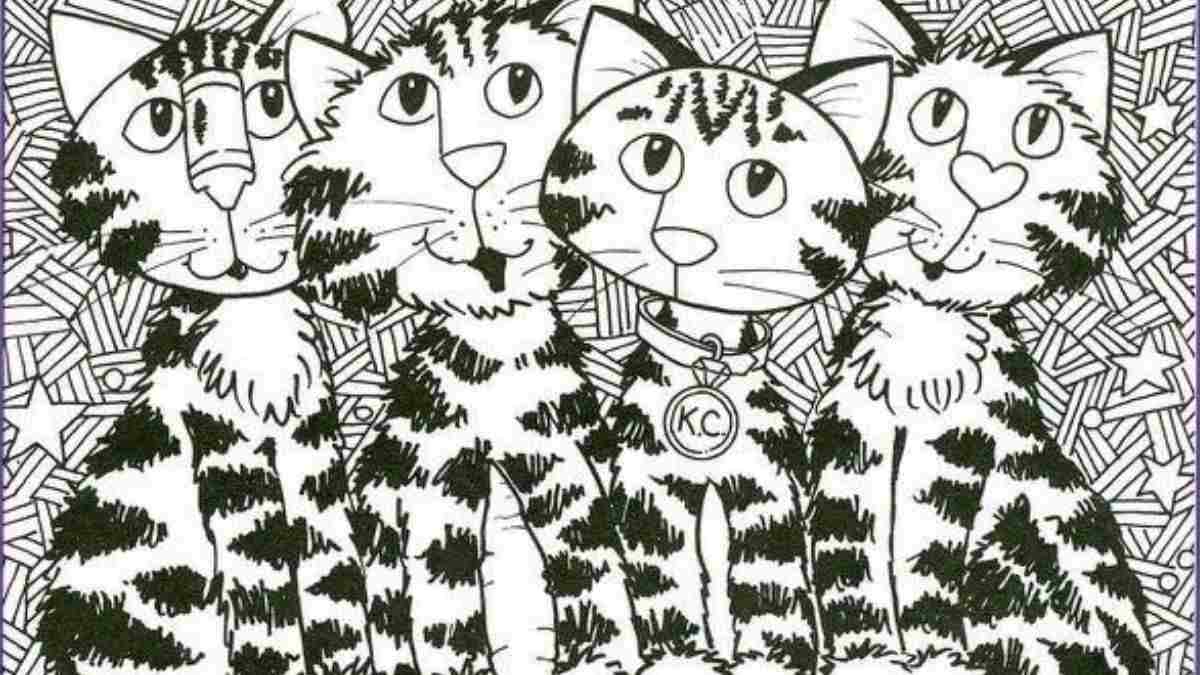 Optical Illusion IQ Test: Can You Spot The Pizza Slice Hidden In This Picture Of Cats In 12 Seconds?