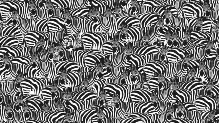 Optical Illusion IQ Test: Only 1% With Sharpest Vision Can Spot A Piano Among Zebras In 8 Seconds!
