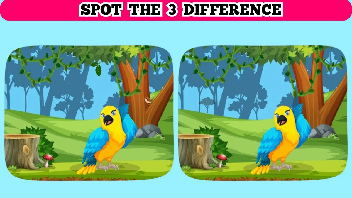 Optical Illusion: If You Have Eagle Eyes Spot 3 Differences in These Images