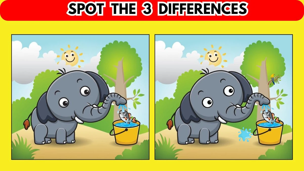Optical Illusion Spot the Difference Game: Only a genius can spot the 3 Differences in this Elephant Image in 12 Secs
