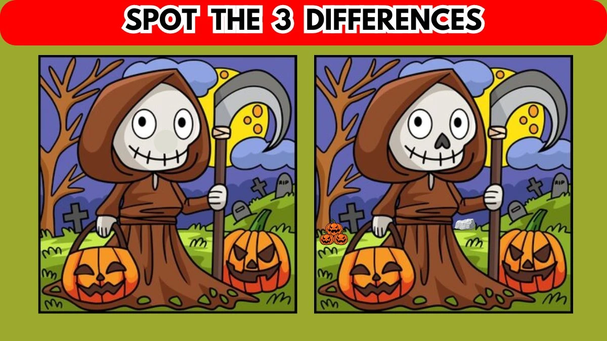 Optical Illusion Spot the Difference Picture Puzzle: Only Sharp Eyes Can Spot the 3 Differences in this Image in 8 Secs