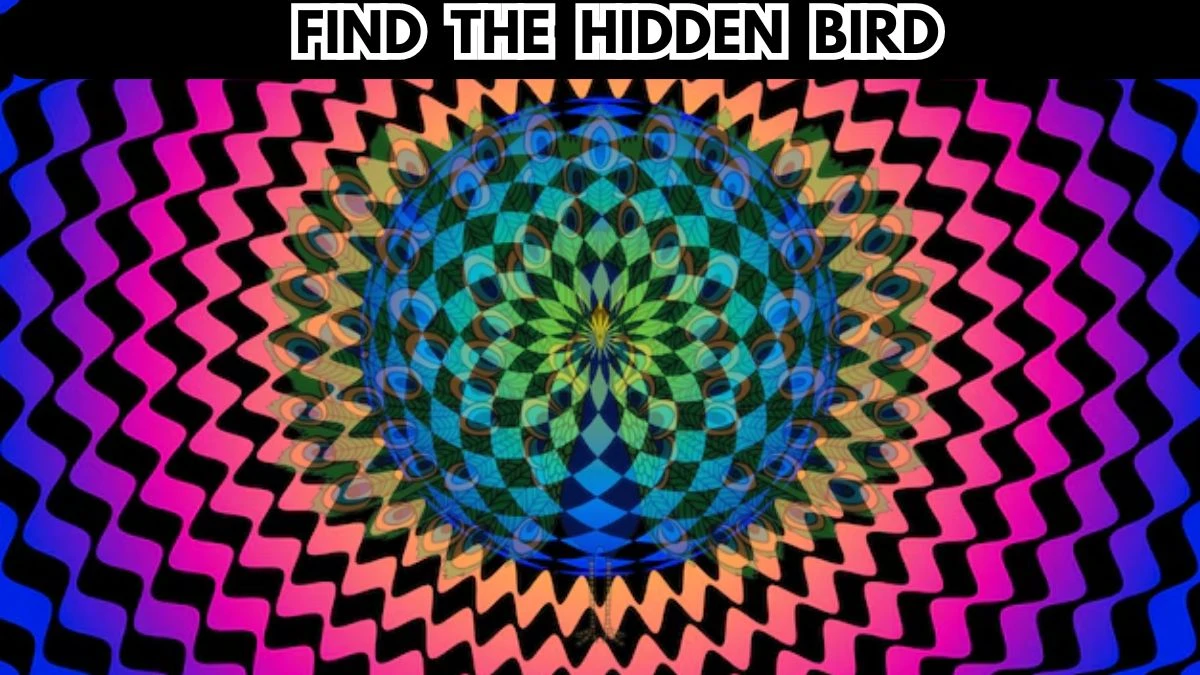 Optical Illusion Vision Test: Only 5 Out of 10 Can Find The Hidden Bird in this Image in 5 Secs
