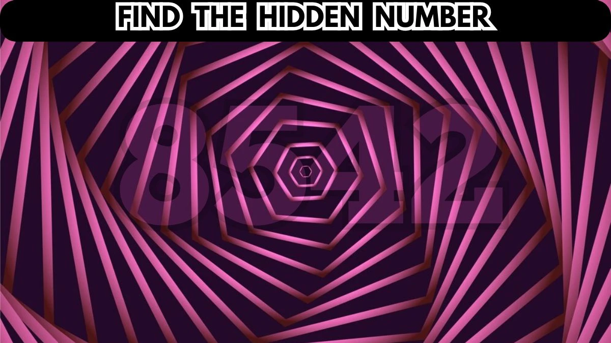 Optical Illusion Visual Test: Can You Find the Hidden Number in 10 Seconds