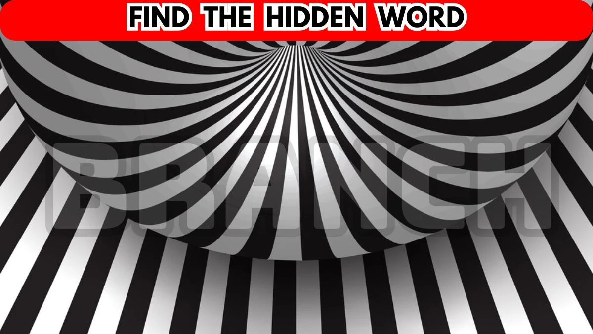 Optical Illusion Visual Test: Find the Hidden Word in 12 Seconds