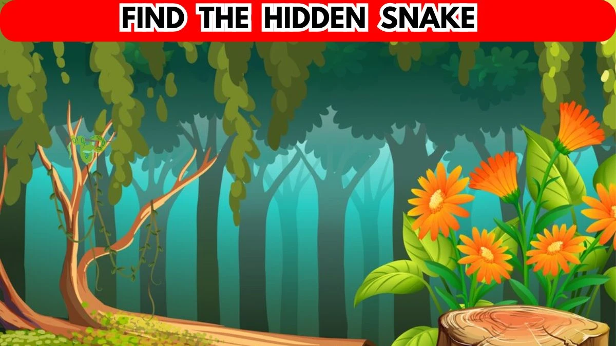 Optical Illusion Visual Test: Only 3% of Smart People Can Find The Hidden Snake in this Image in 6 Secs