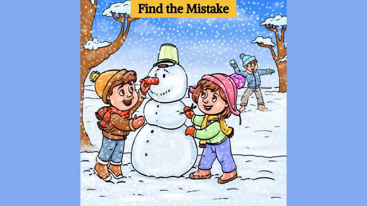 Picture Puzzle IQ Test: Find the mistake in the winter picture in 4 seconds!