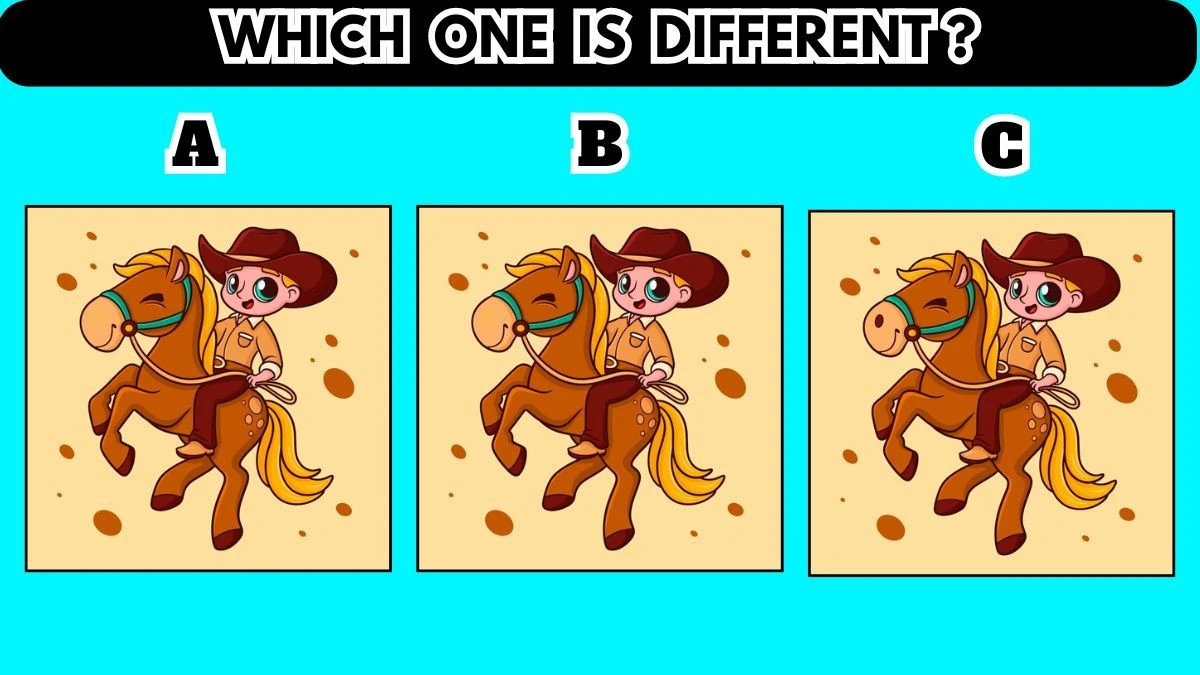 Picture Puzzle IQ Test: Only Sharp Brain People Can Spot the Different One in 7 seconds
