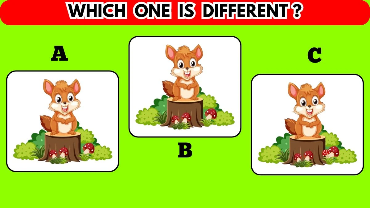 Picture Puzzle IQ Test: Use Your Hawk Eyes to Find the Different One