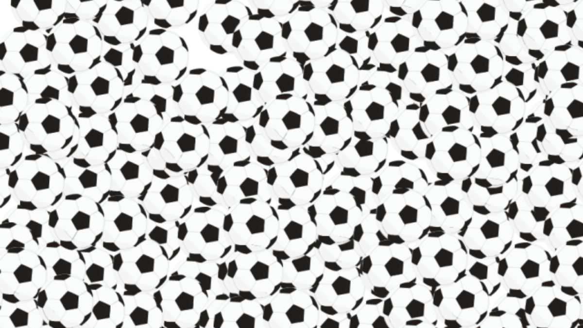 Picture Puzzle IQ Test: Use Your Superior Visual Powers To Spot The Panda Hidden Among Footballs in 8 Seconds!