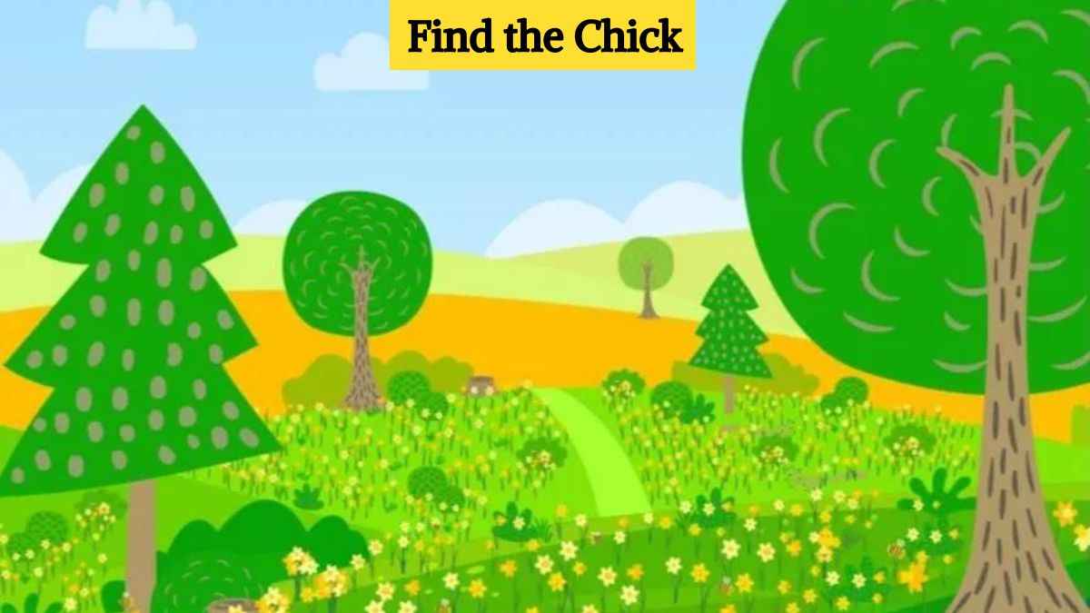Seek and Find Puzzle: Find the chick in the garden in 9 seconds!