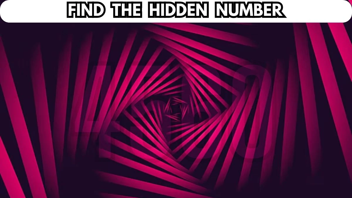 Seek and Find Puzzle: Only High attention People Can Find the Hidden Number in this Image in 5 Secs