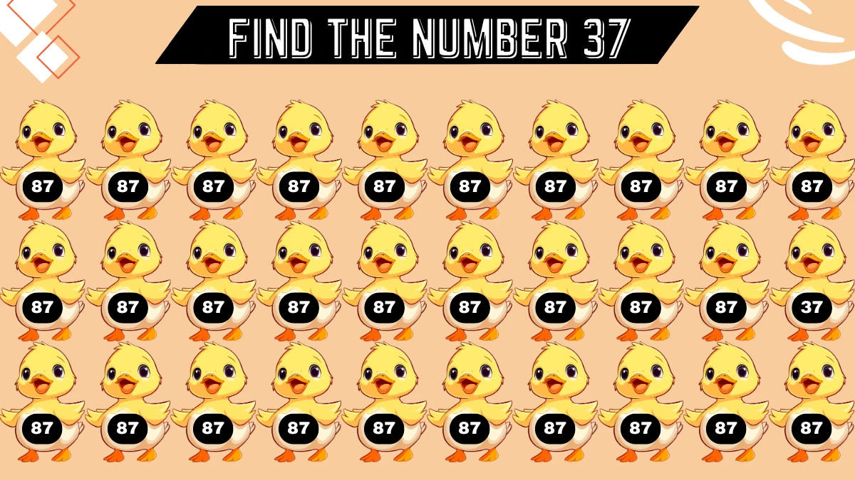 Seek and Find Puzzle: Only the most attentive pair of eyes can find the Number 37 in 5 seconds