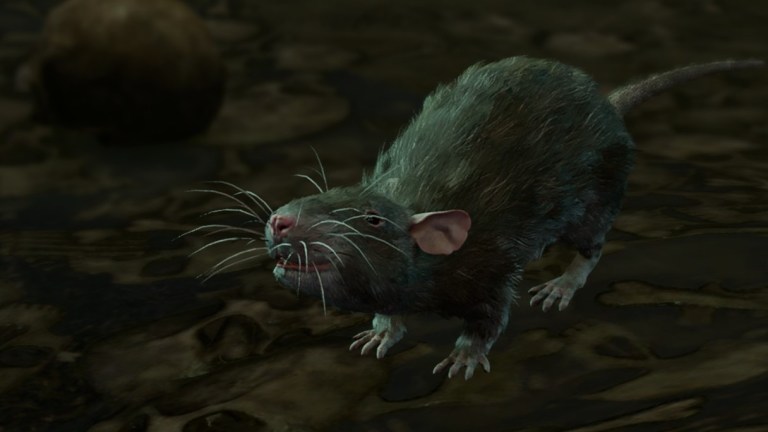 Should You Accept the Rat’s Treasure in the Gauntlet of Shar in Baldur’s Gate 3? – Answered