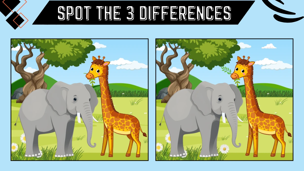 Spot the 3 Difference Picture Puzzle Game: Only 50/50 Vision Can Spot the 3 Differences in this Elephant and Giraffe Image in 15 Secs