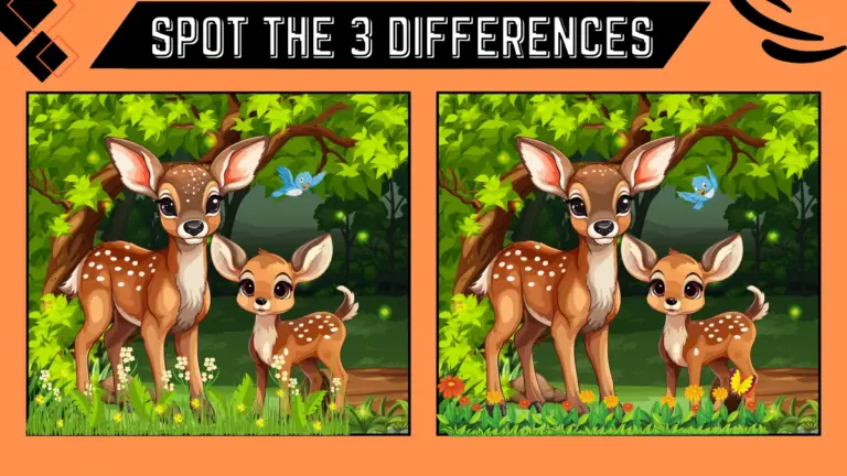Spot the 3 Differences: Only a genius can spot the 3 differences in the deer image within 10 seconds