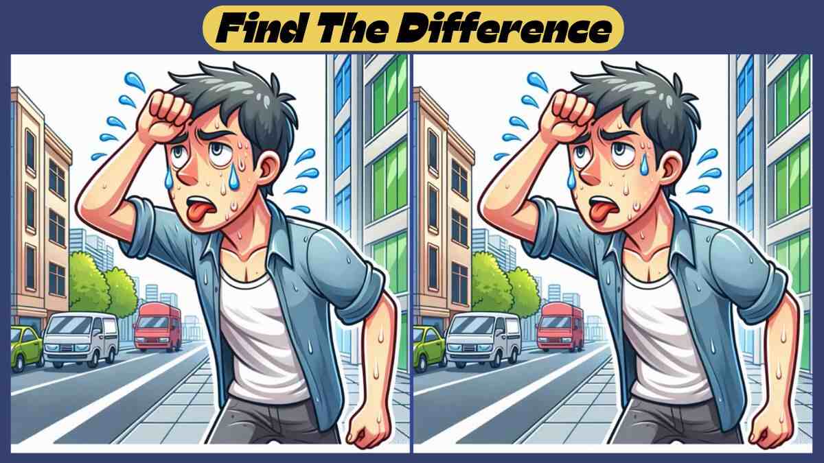Spot the 3 Differences in 39 Seconds in This Summer Heat Scene