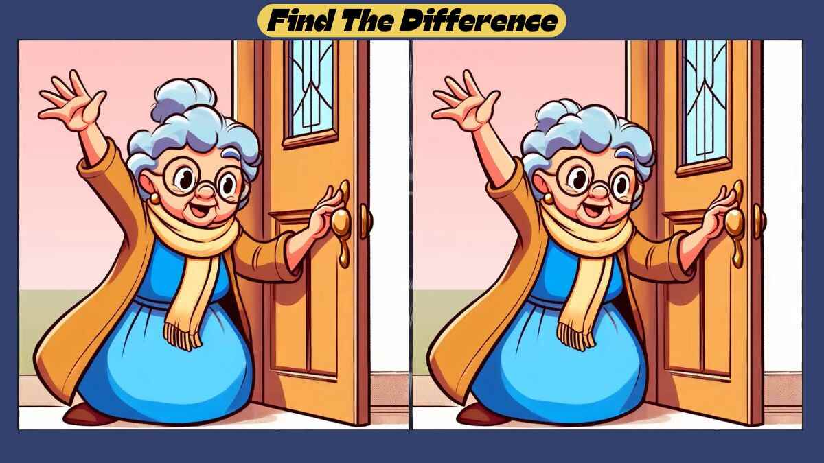 Spot the 3 Differences in 40 Seconds in This Grandmother Scene