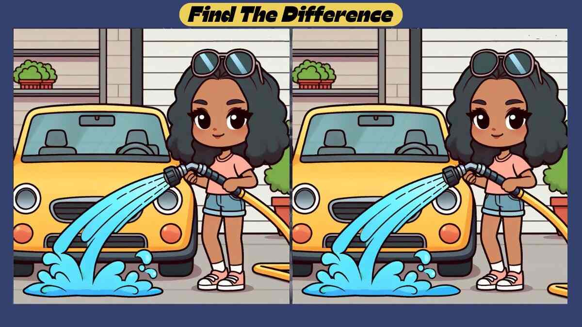 Spot the 3 Differences in 41 Seconds in This Car Washing Scene