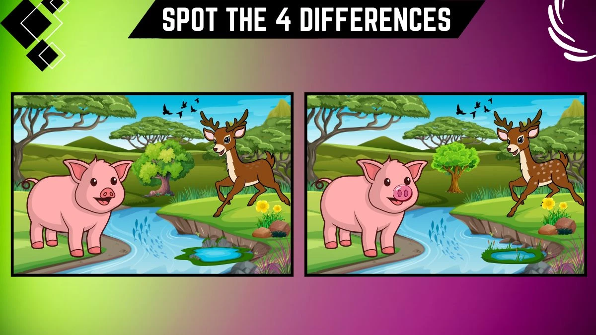 Spot the 4 Difference Picture Puzzle Game: Only 20/20 Vision People Can Spot the 4 Differences in this Pig and Deer Image in 14 Secs