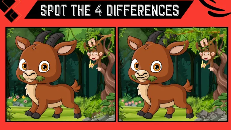Spot the 4 Difference Picture Puzzle Game: Only the sharpest eyes can spot the 4 differences in 12 secs