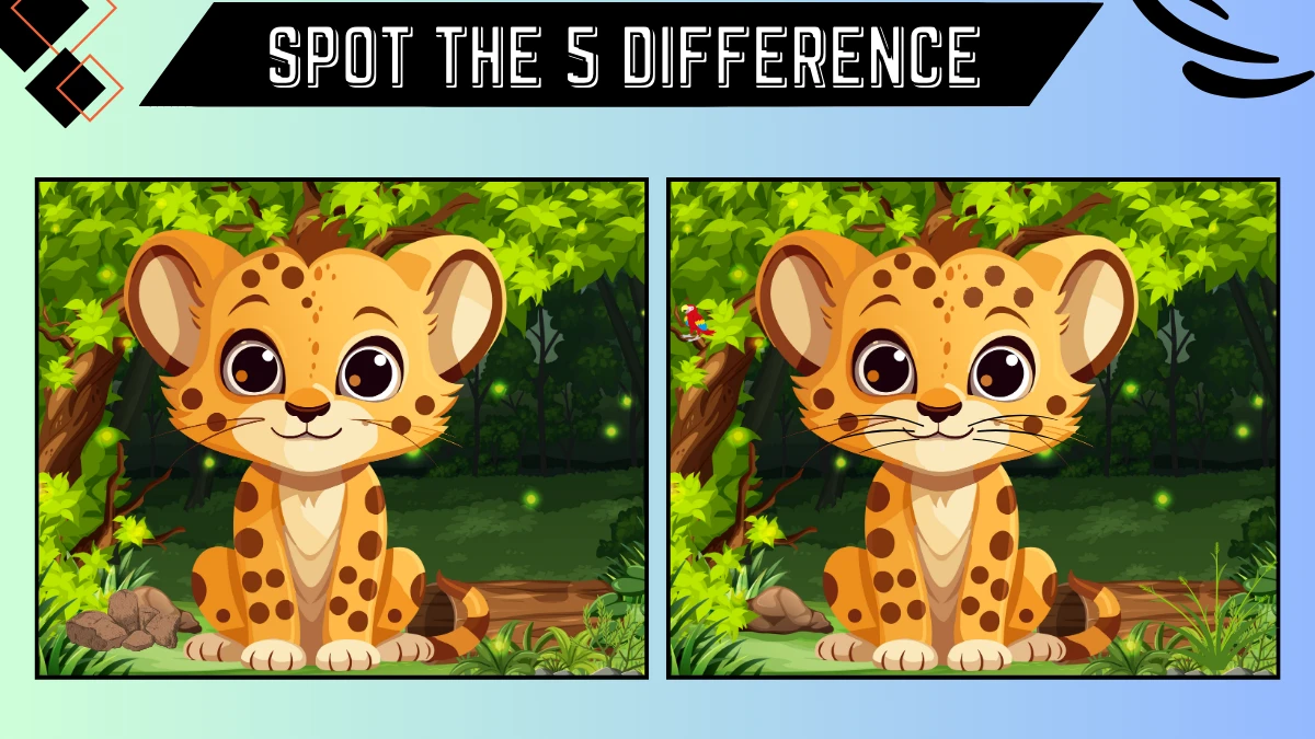 Spot the 5 Difference Picture Puzzle Game: Only Extra Shrap Eyes Can Spot the 5 Differences in this Baby Cheetah Image in 12 Secs