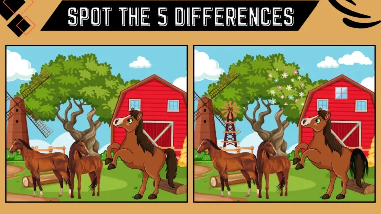 Spot the 5 Differences: Only extraordinary vision can spot the 5 differences in the horse
