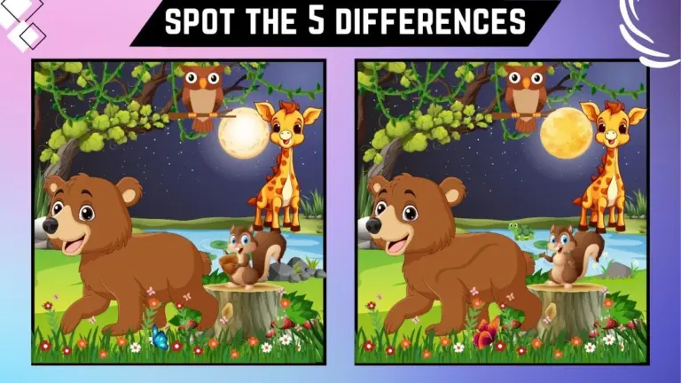 Spot the 5 Differences: Only the sharp vision can spot the 5 differences in this Bear picture within 14 secs