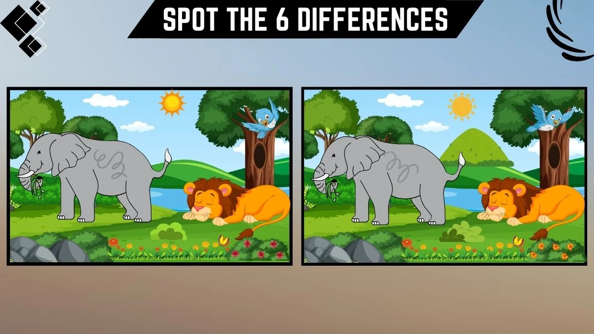 Spot the 6 Difference Picture Puzzle Game: Only 50/50 Vision Can Spot the 6 Differences in this Elephant and Sleeping Lion Image in 15 Secs