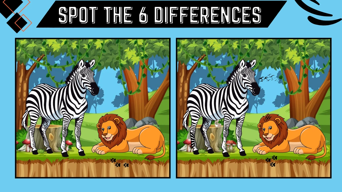 Spot the 6 Difference Picture Puzzle Game: Only Extra Sharp Eyes Can Spot the 6 Differences in this Zebra and Lion Image in 18 Secs