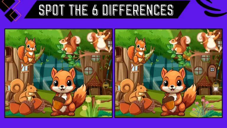 Spot the 6 Difference Picture Puzzle Game: Only People with Extra Sharp eyes can spot the 6 differences in this Squirrels Image in 16 secs