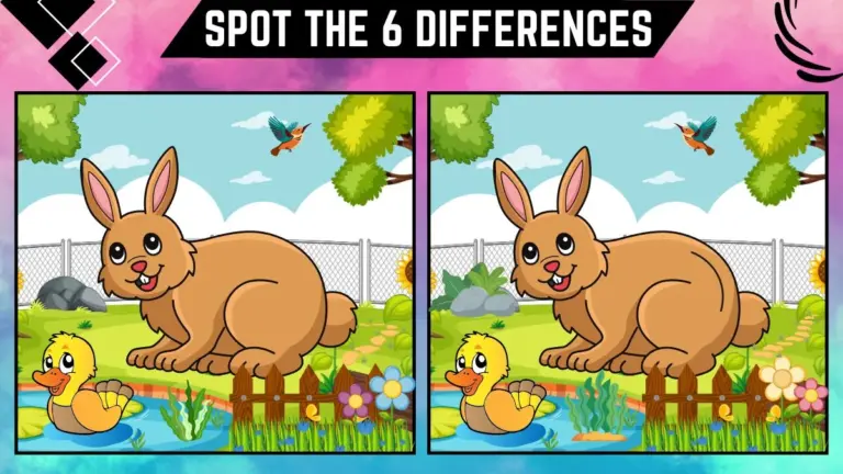Spot the 6 Differences: Only 50/50 vision can spot the 6 differences in this rabbit image within 14 secs