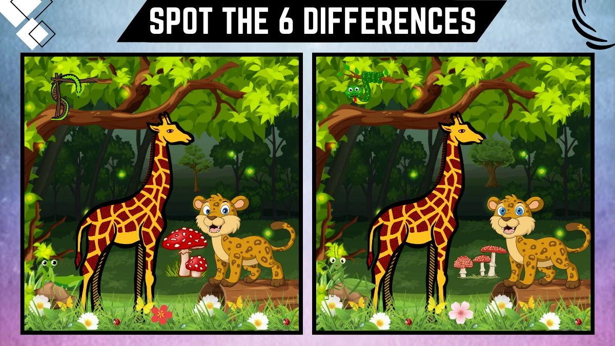 Spot the 6 Differences: Only intelligent people can spot the 6 differences in the giraffe and baby cheetah image within 18 seconds