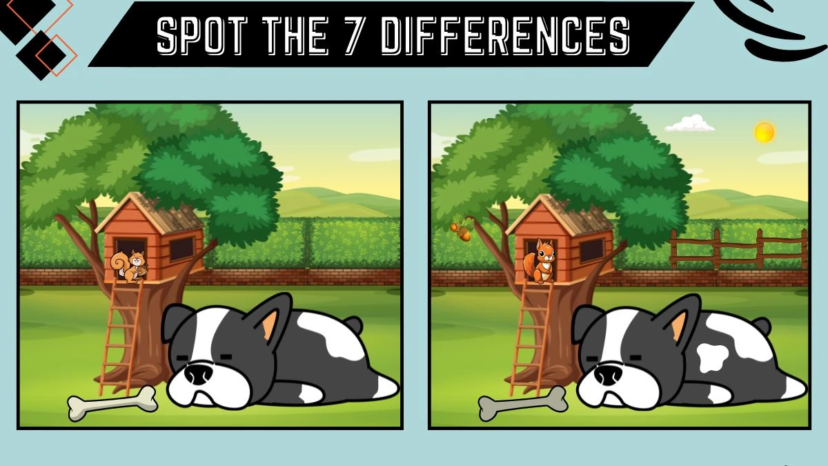 Spot the 7 Difference Picture Puzzle Game: Only Extra Sharp Eyes Can Spot the 7 Differences in this Dog Image in 15 Secs