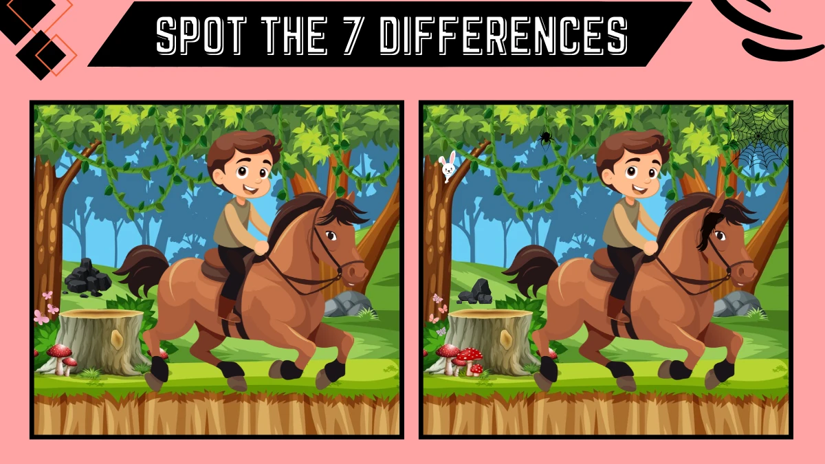Spot the 7 Differences Picture Puzzle Game: Only People with Sharp Eyes Can Spot the 7 Differences in this Horse Rider Image in 18 Secs