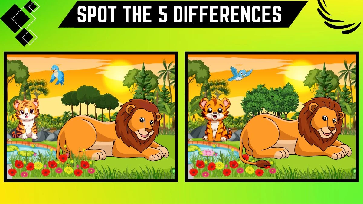 Spot the Difference Game: Only 50/50 Vision Can Spot the 5 Differences in this Lion and Baby Tiger Image in 12 Secs