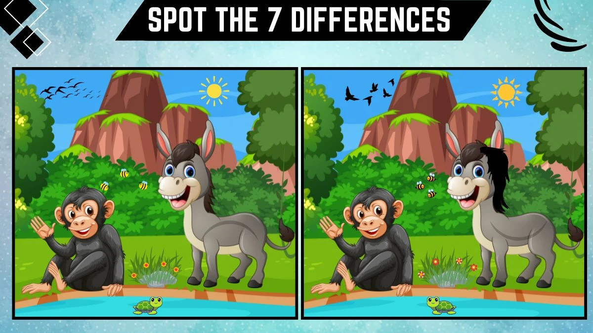 Spot the Difference Game: Only People with Eagle Eyes Can Spot the 7 Differences in this Gorilla and Donkey Image in 17 Secs