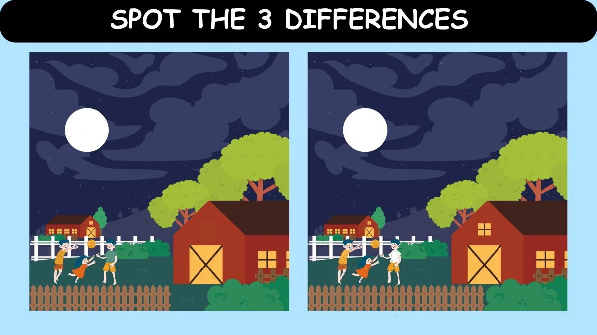 Spot the Difference Picture Puzzle Game: Only Hawk Eyes Can Spot the 3 Differences in this Image in 8 Secs